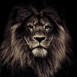 Meet your Posher, Clayton